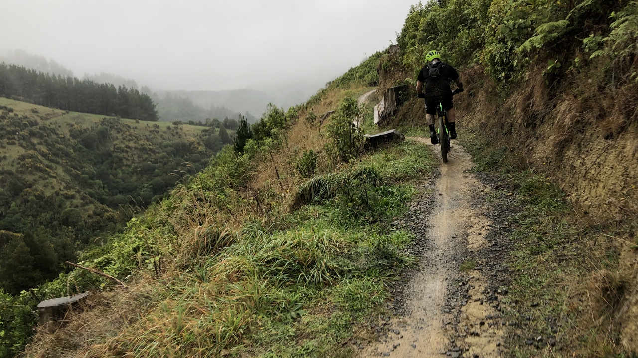 arapuke mountain bike park